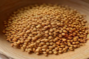 Où acheter des granules de bois (pellets) de fumage de qualité au meilleur prix ?